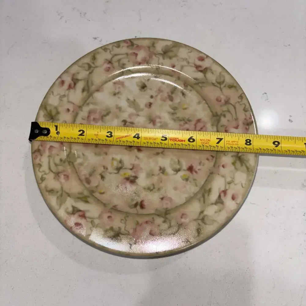 222 Fifth Savannah by Cheri Blum Stoneware Salad Plates Set of 4